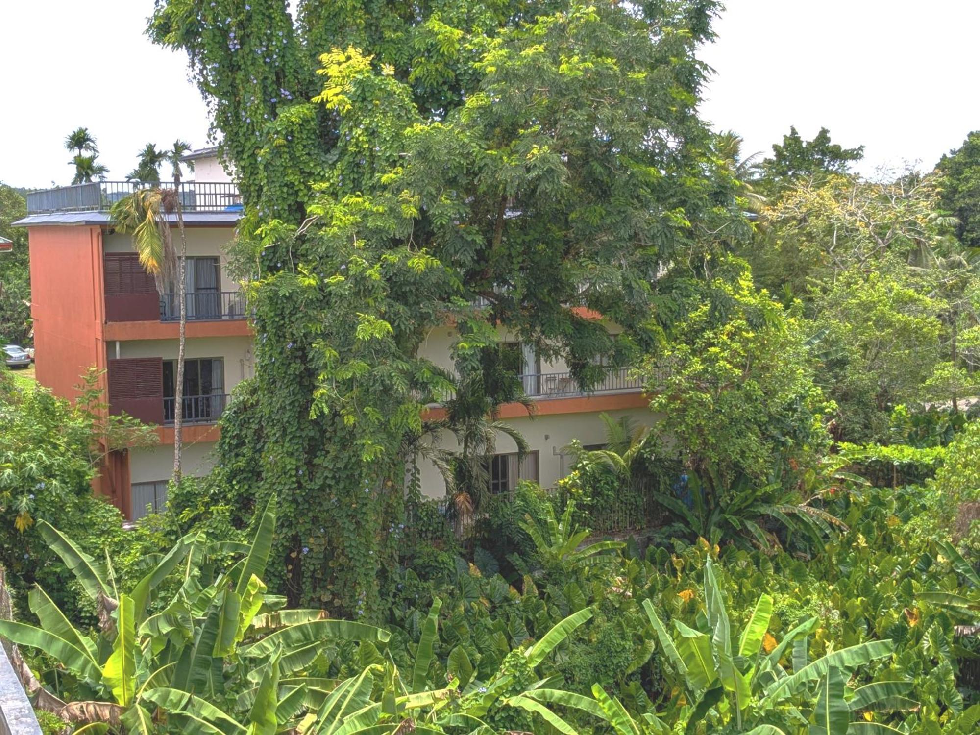 Garden Palace Downtown Koror Exteriör bild